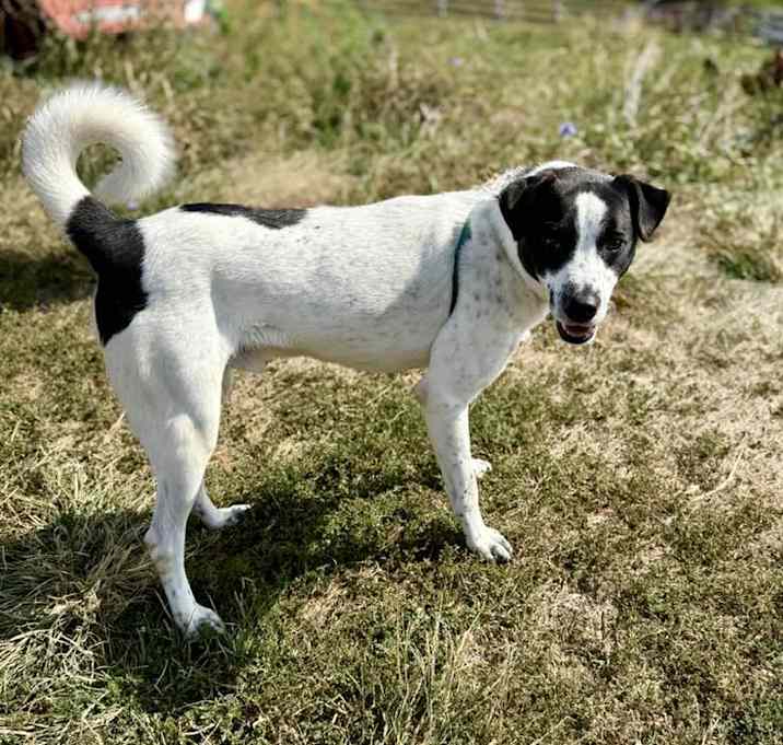 Photo of Hoppy