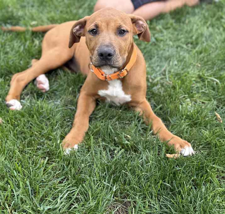 Photo of Cora