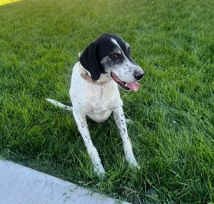 Photo of Axel