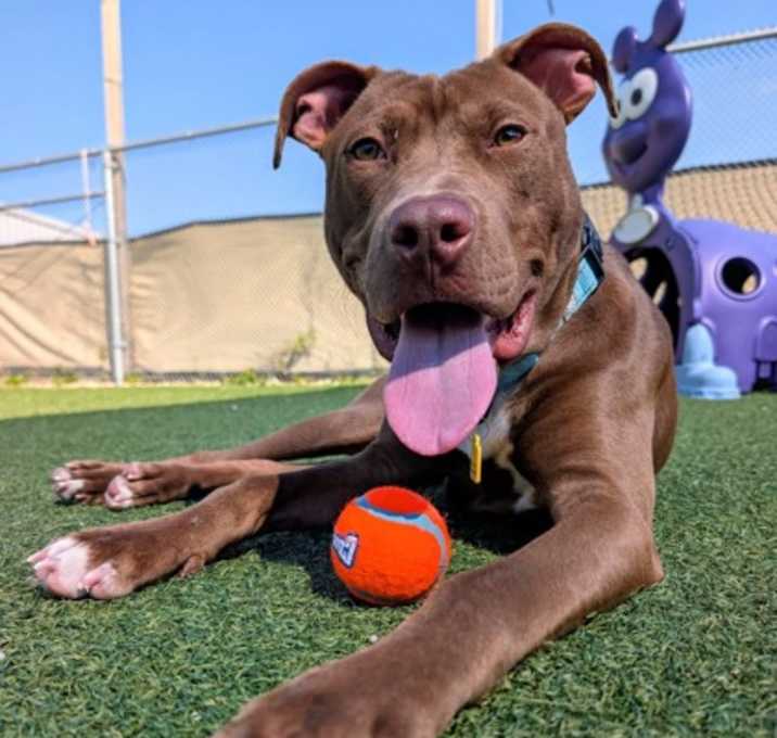 Billy Ray II (foster)