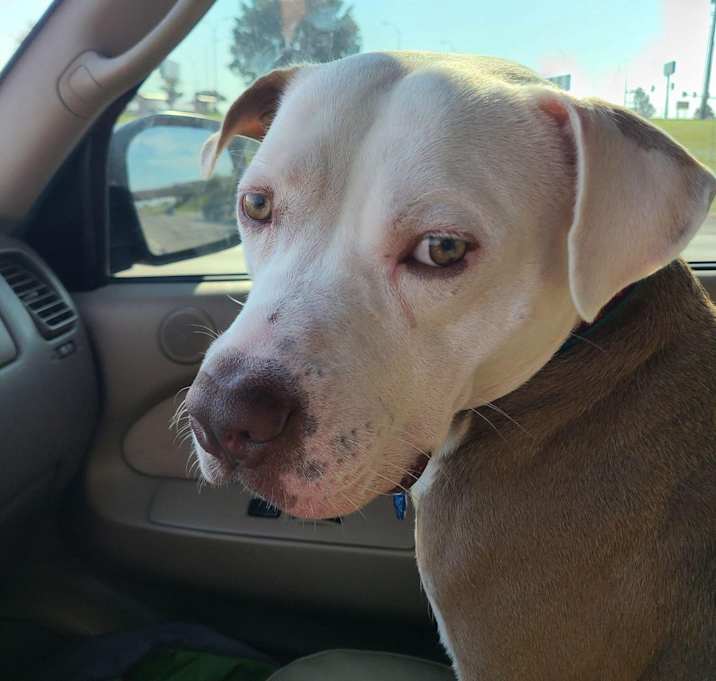 Photo of Hank