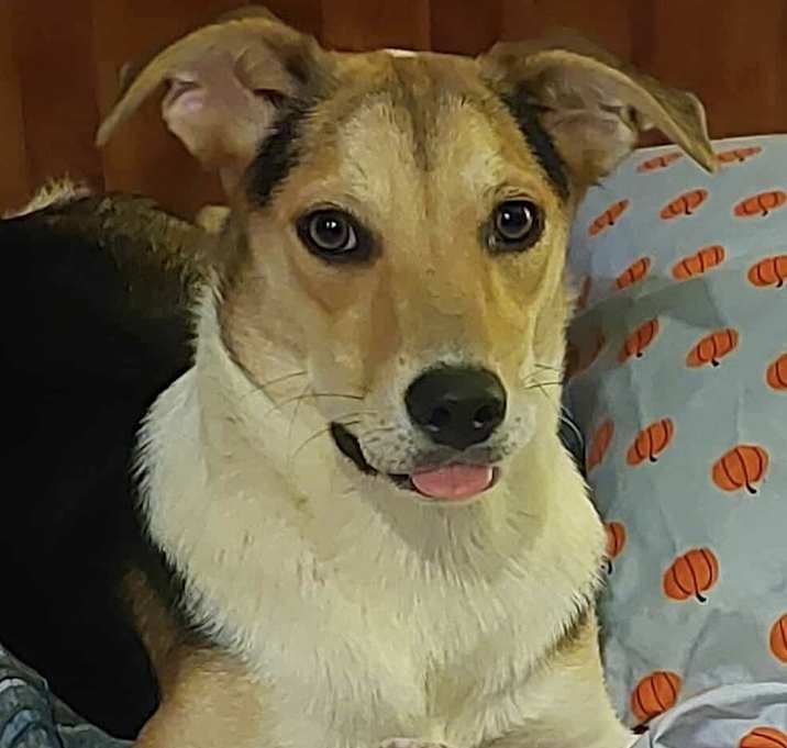 Photo of Luna
