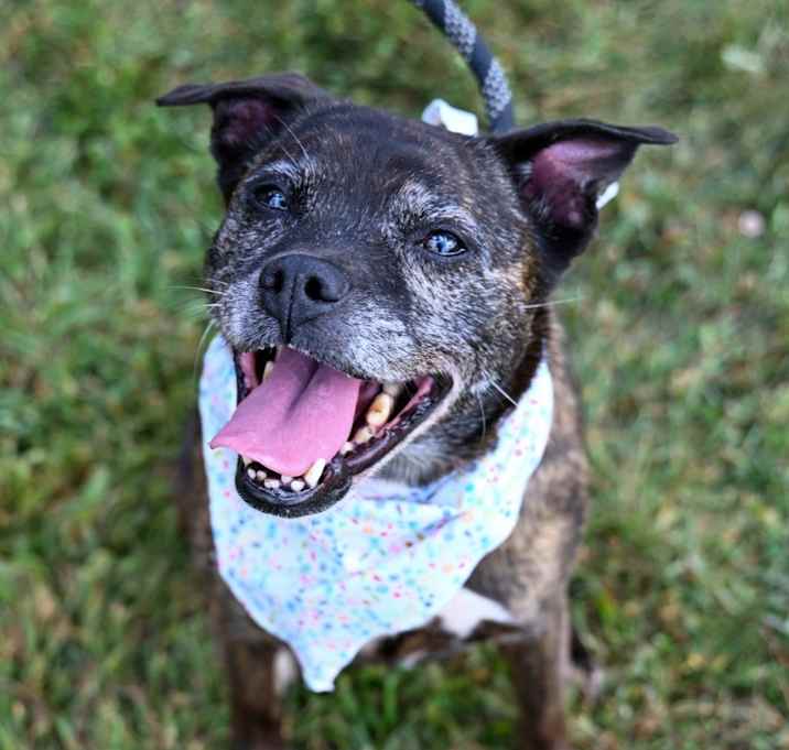 Photo of Leia *Sponsored Senior