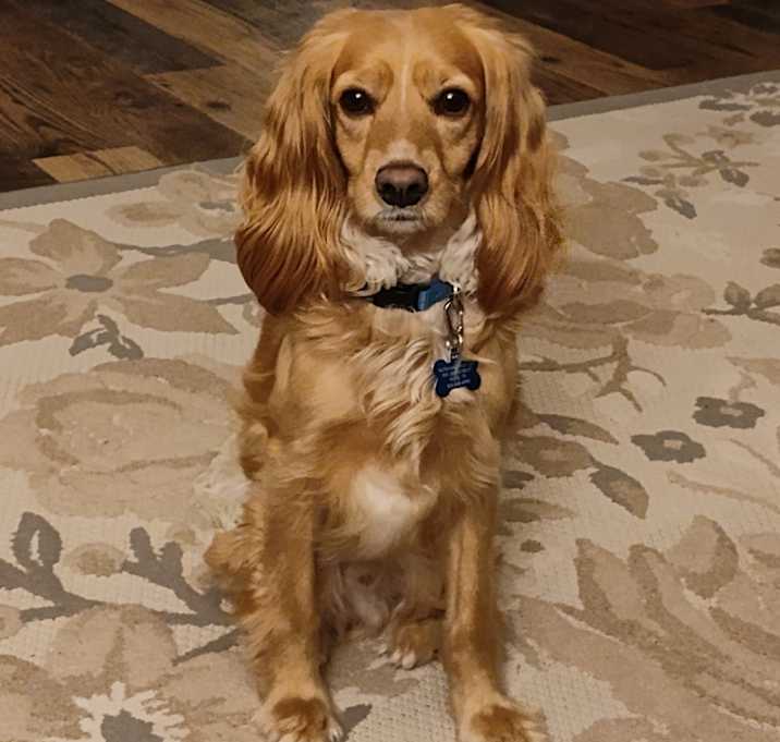 Photo of Leo