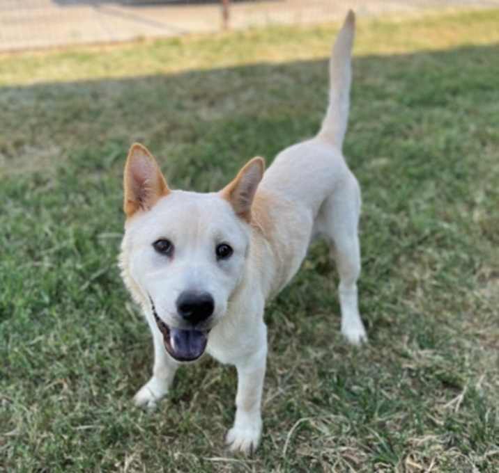 Photo of Cane