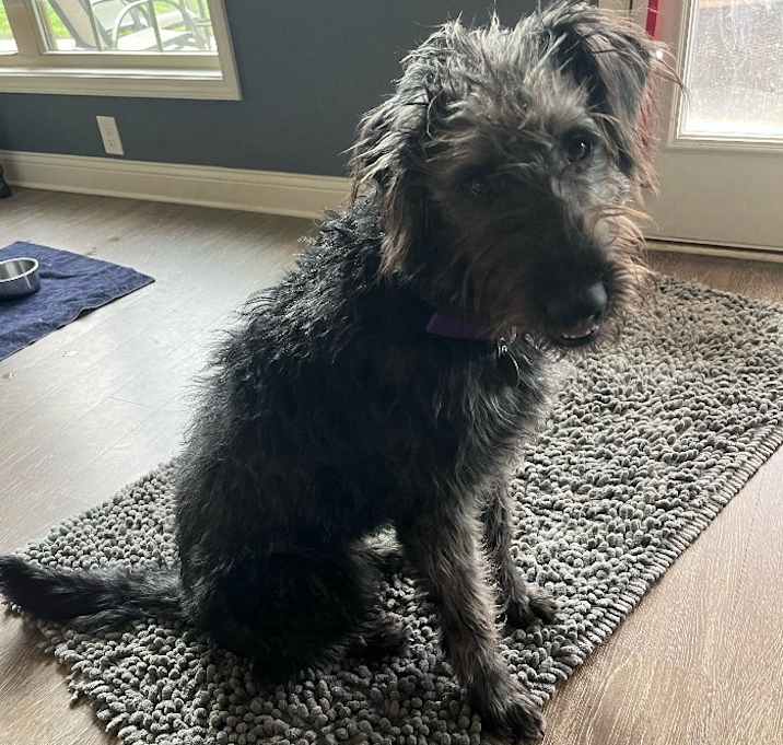 Photo of Brooklyn #6661