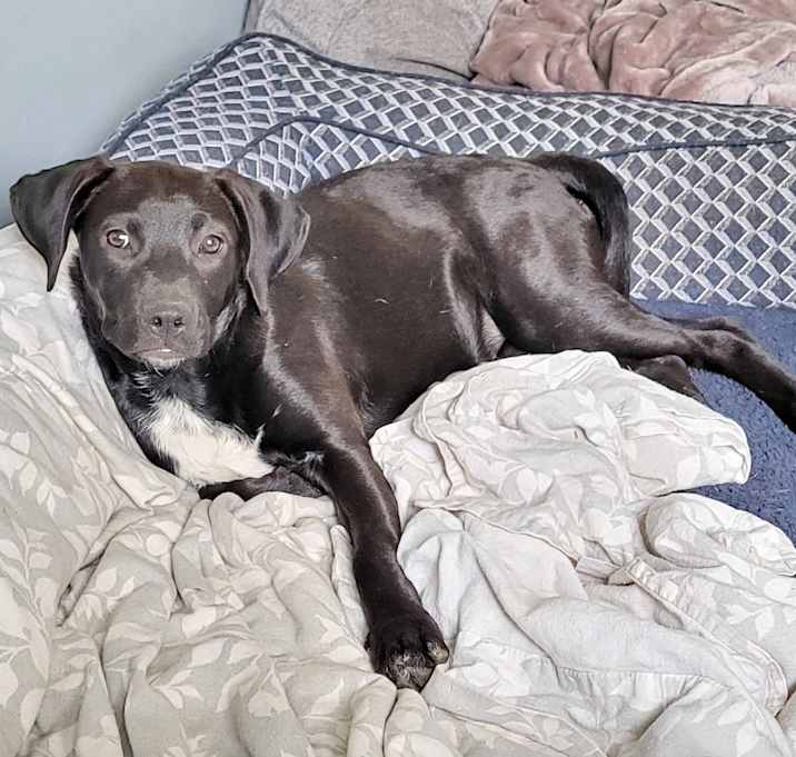 Photo of Janey