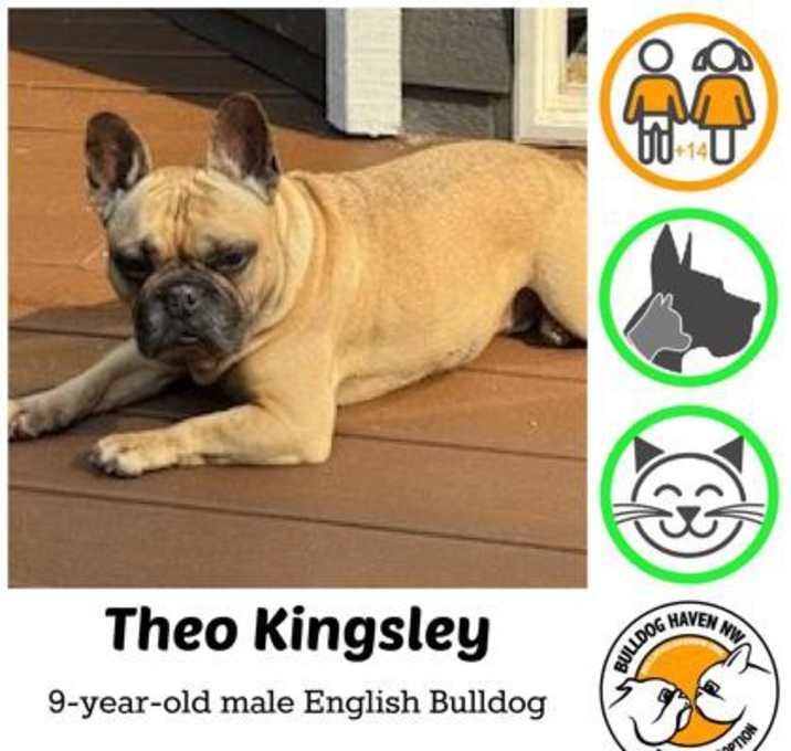 Photo of Theo Kingsley