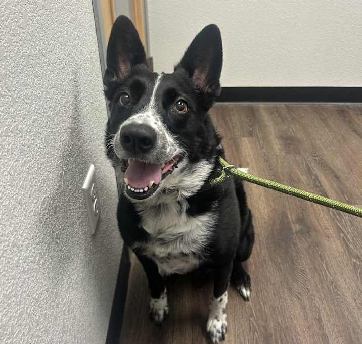 Photo of Kylo