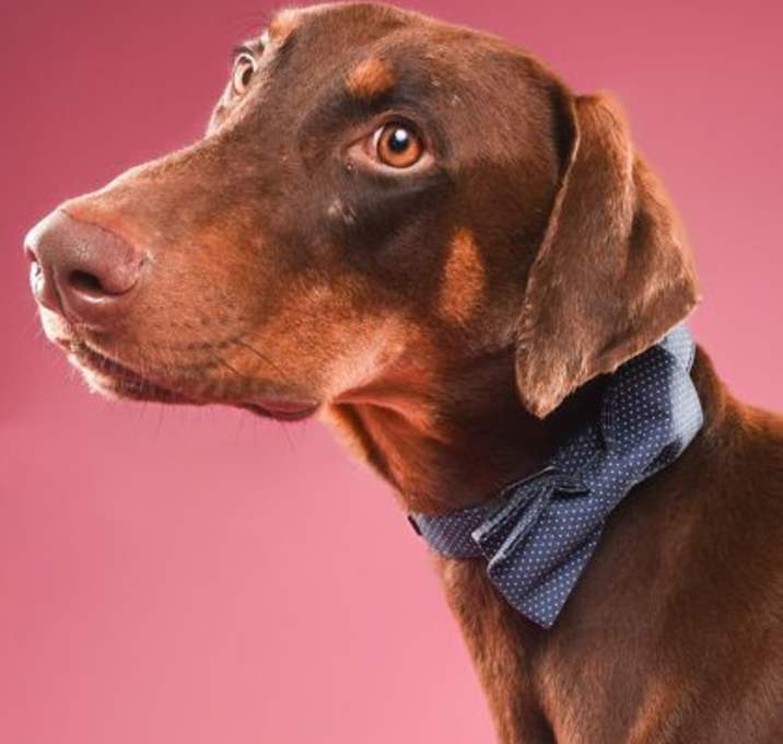 Photo of Jacoby