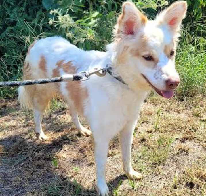 Photo of Luna