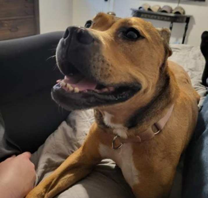 Photo of Dakota FKA Dancer