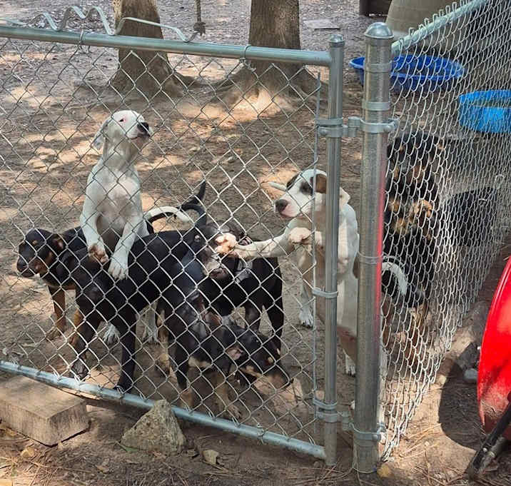 Photo of The 8 is enough litter