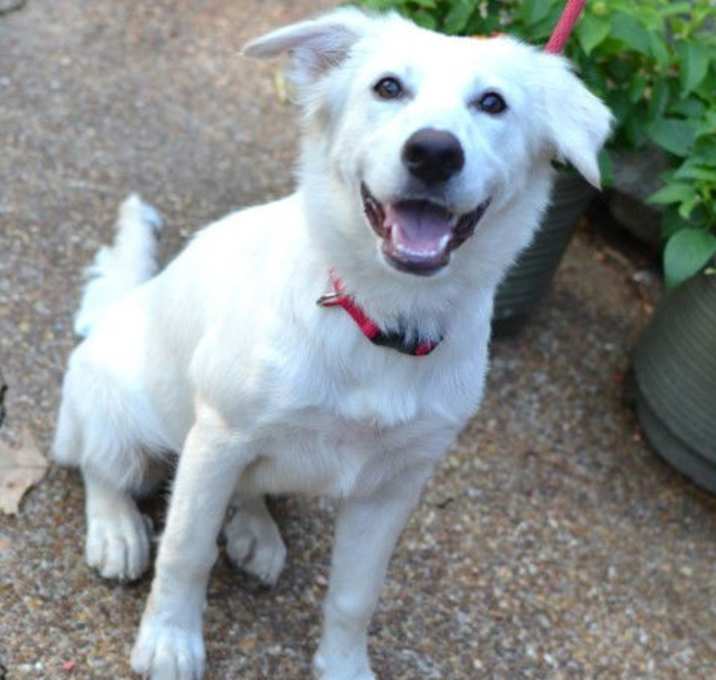 Photo of Daisy