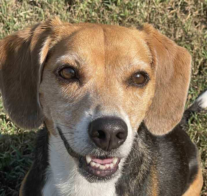 Photo of Murphy
