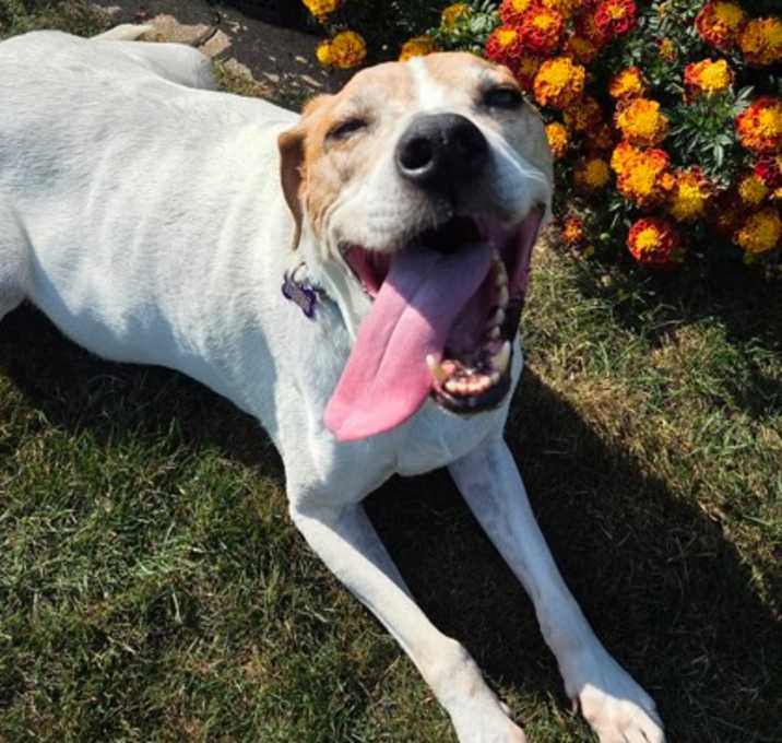 Photo of Fonzie
