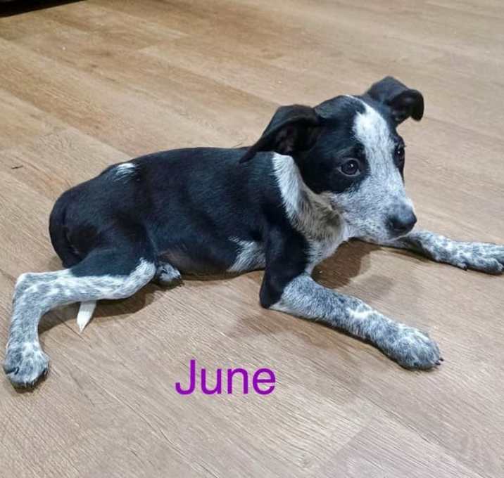 Photo of June