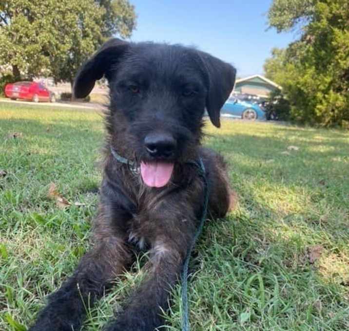Photo of Maverick