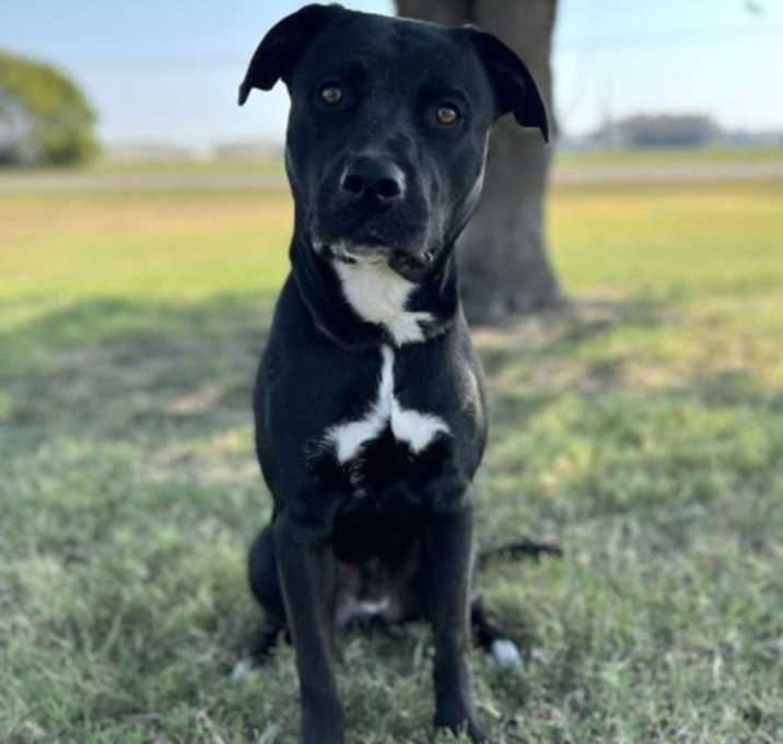 Photo of Simon