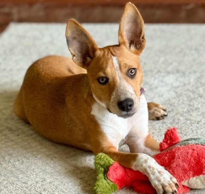 Photo of Evie