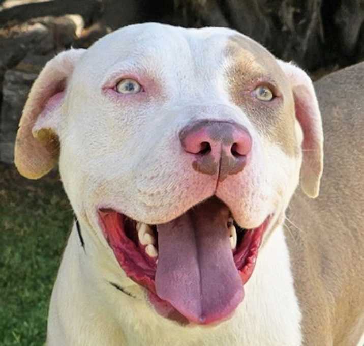 Joyful Mr Judd ~ SWEET !