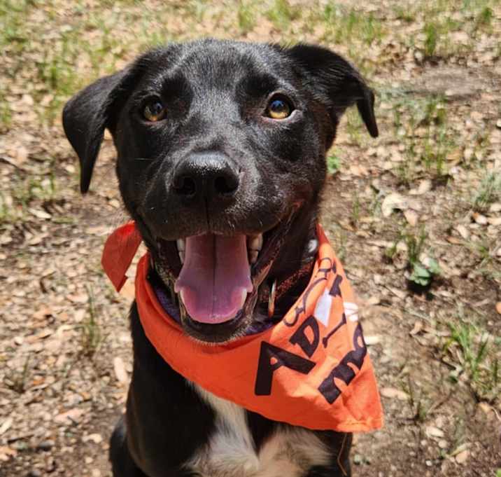 Photo of Mr.Lavender AG