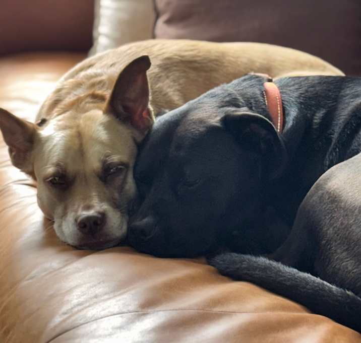 Photo of Jasmine and Bruce