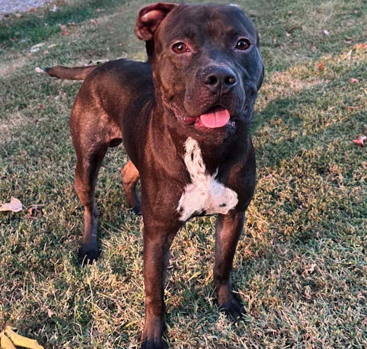 Photo of Bruce