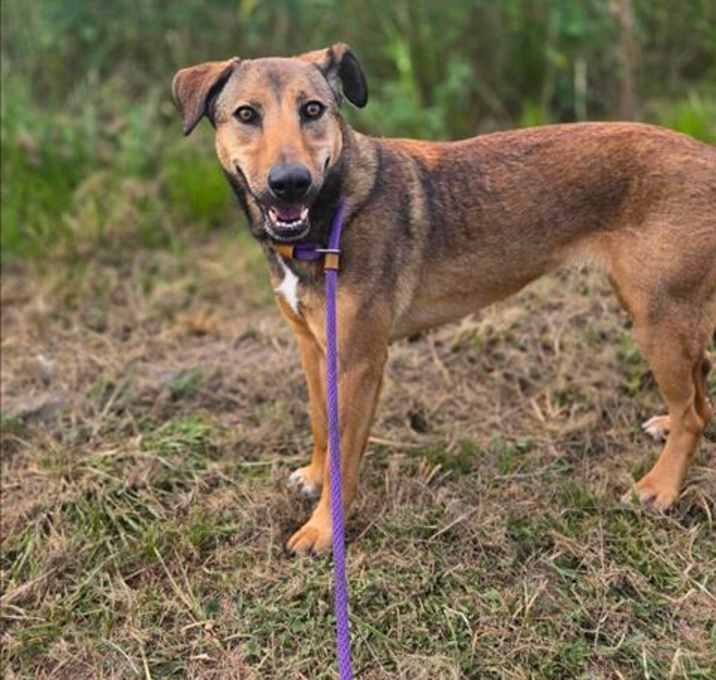Photo of ZOE