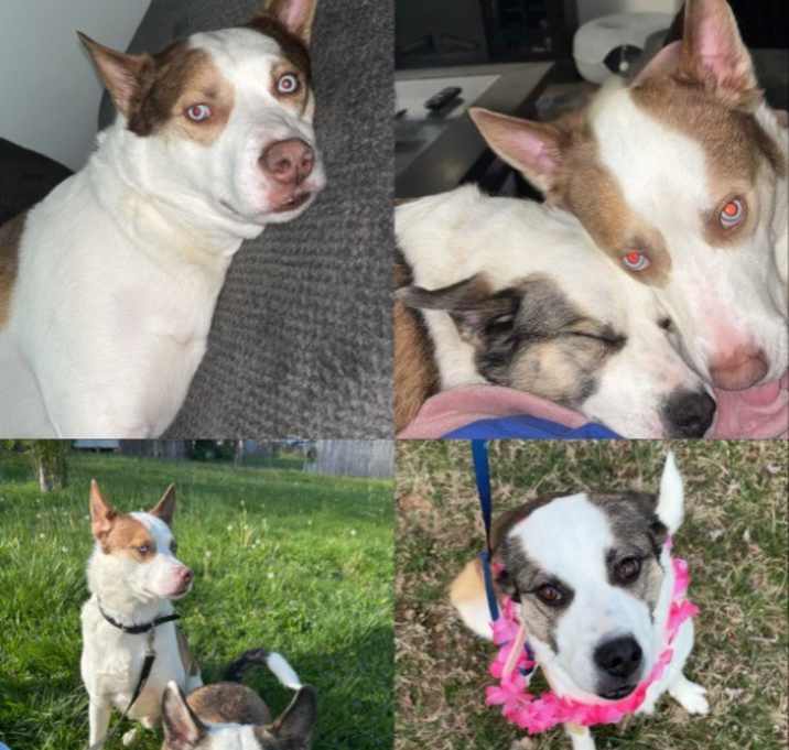 Photo of Skylar & Bella