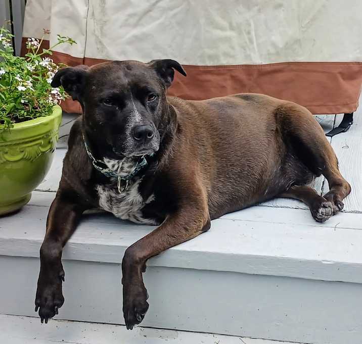 Photo of Callie Local