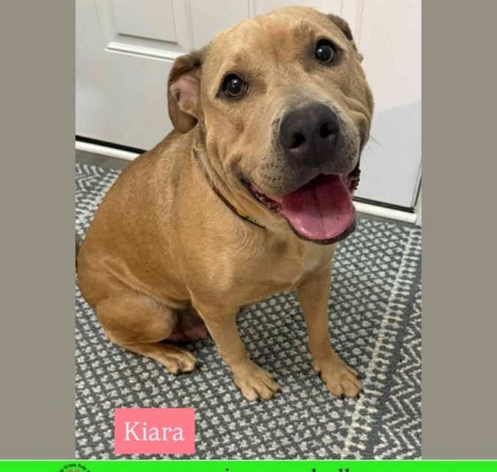 Photo of Kiara