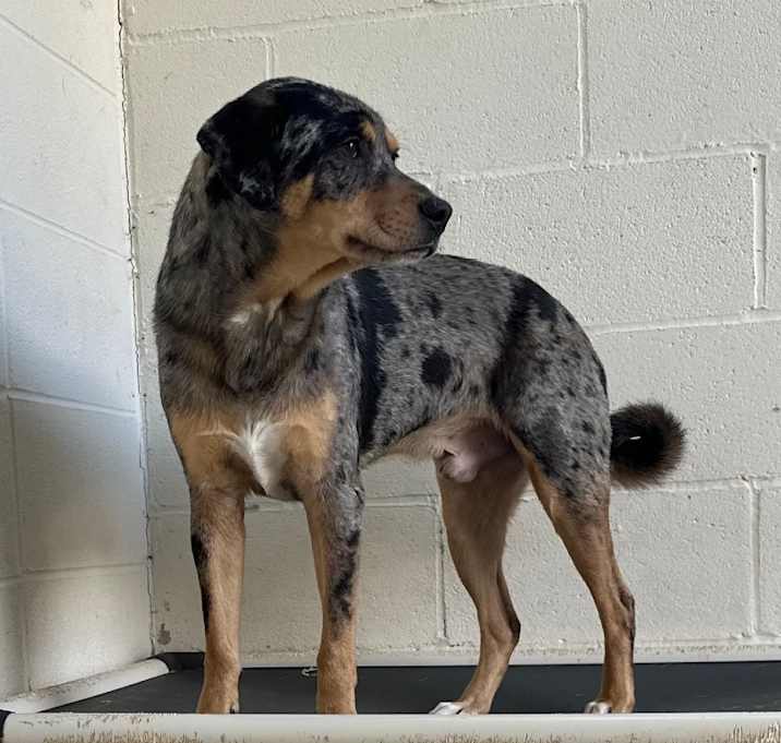 Photo of Carmelo 7378