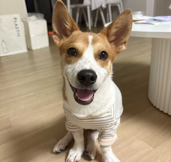 Photo of AJI