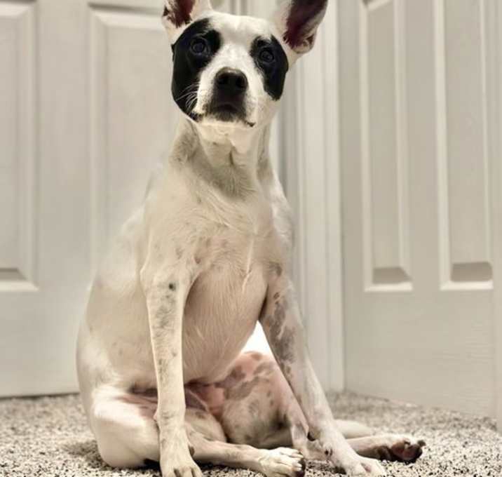 Photo of Luna