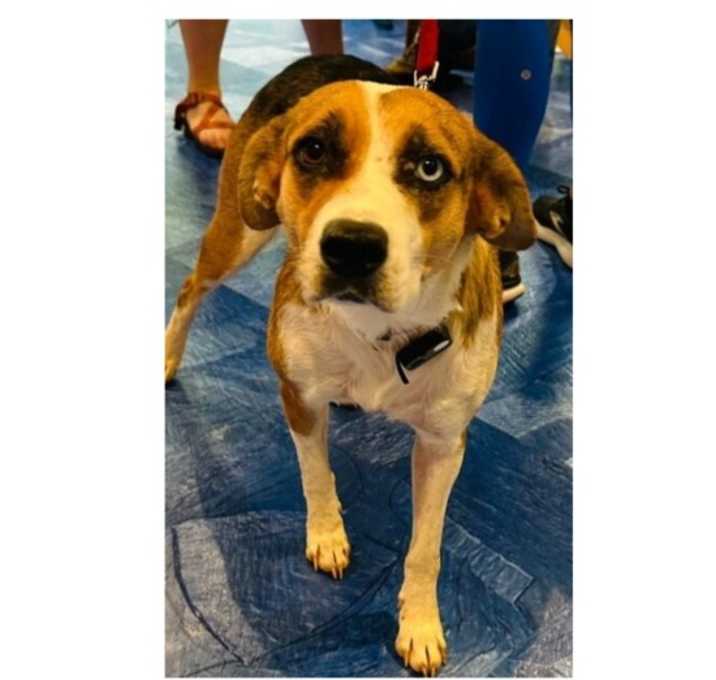 Photo of Delilah