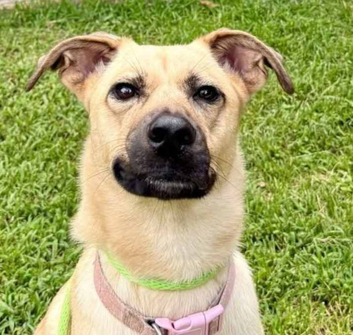 Photo of Dee Dee   Lower Fee!!