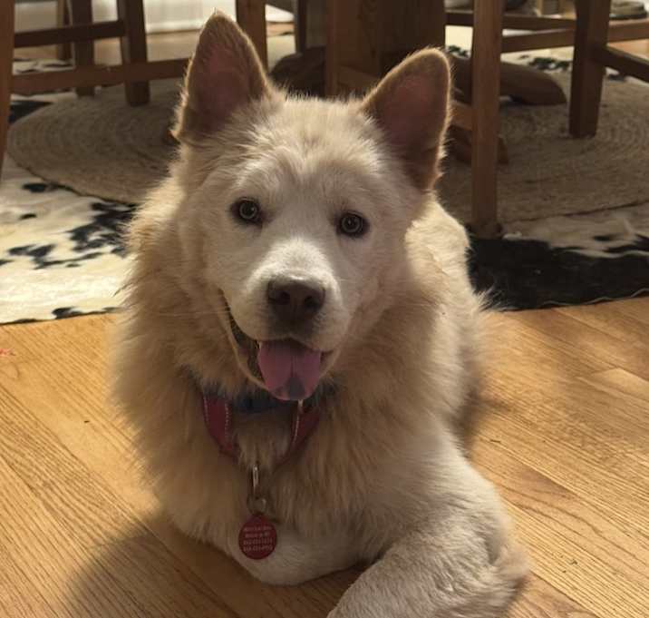 Photo of Cora