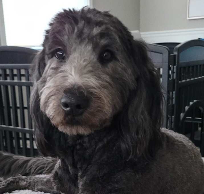 Photo of Cassie