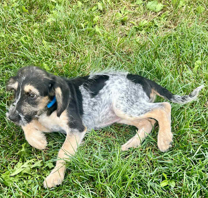 Photo of Junie