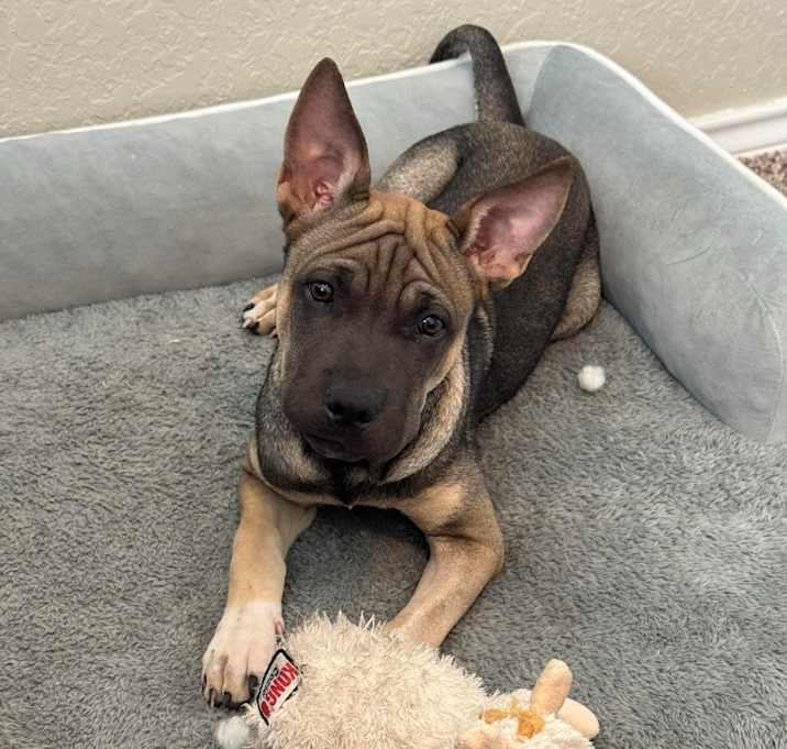 Photo of Rumples