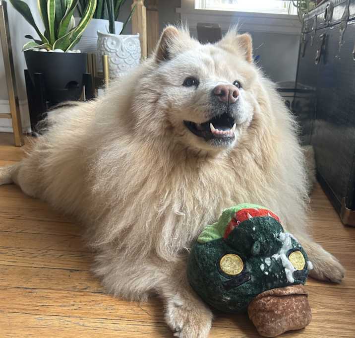 Photo of Kiki