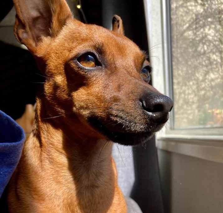 Photo of Charlie Bucket