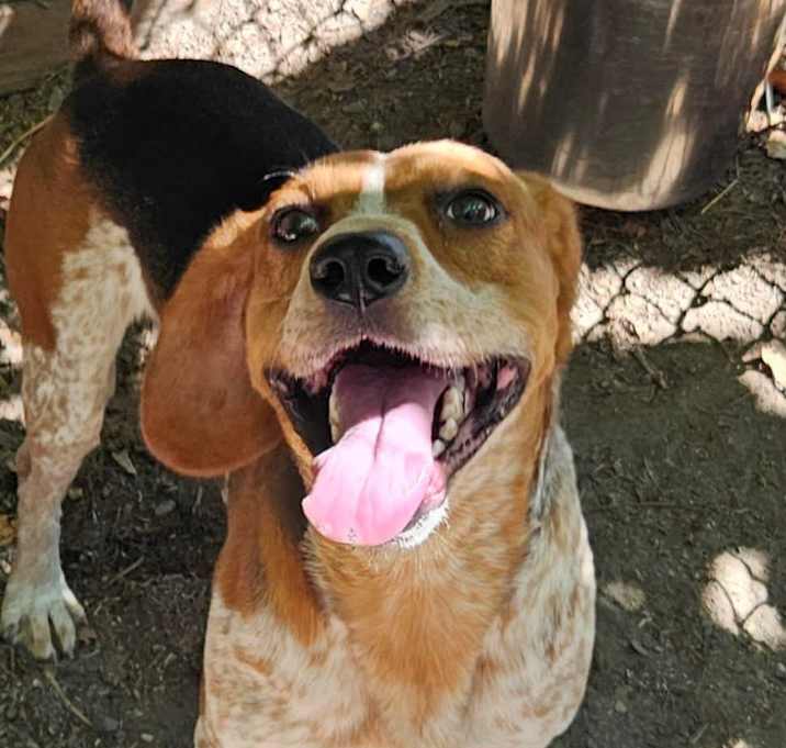 Photo of Ray Charles