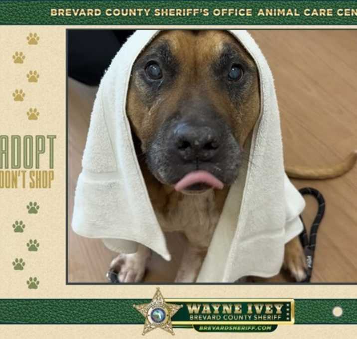 Photo of Mr. Fredricksen