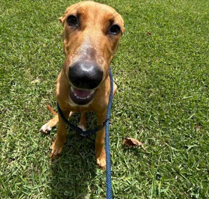 Photo of Thelma