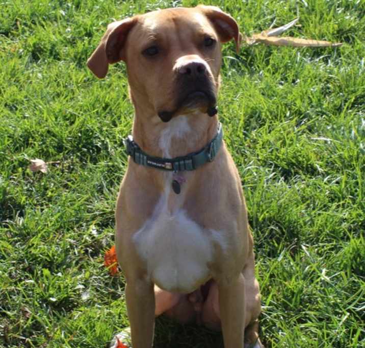 Photo of Remi aka Turbo