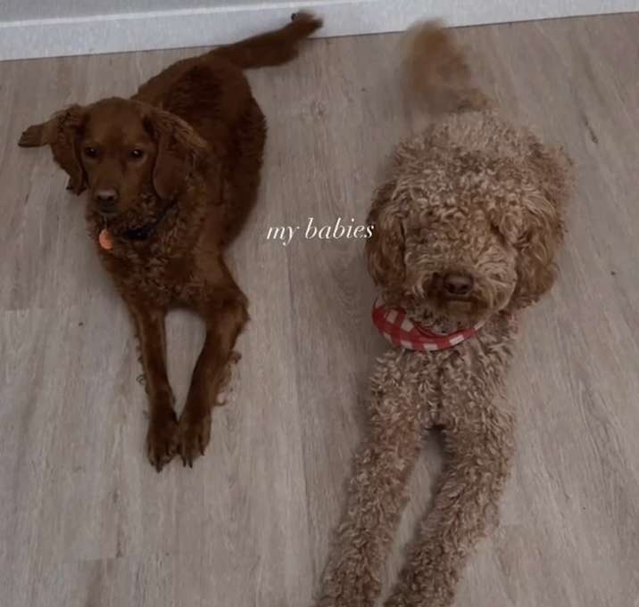 Photo of Willow