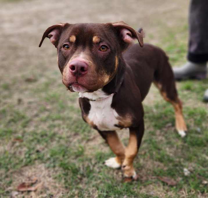 Photo of Bearlow JuM