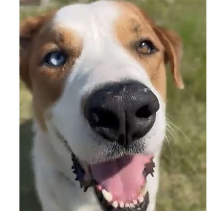 Photo of Chuck